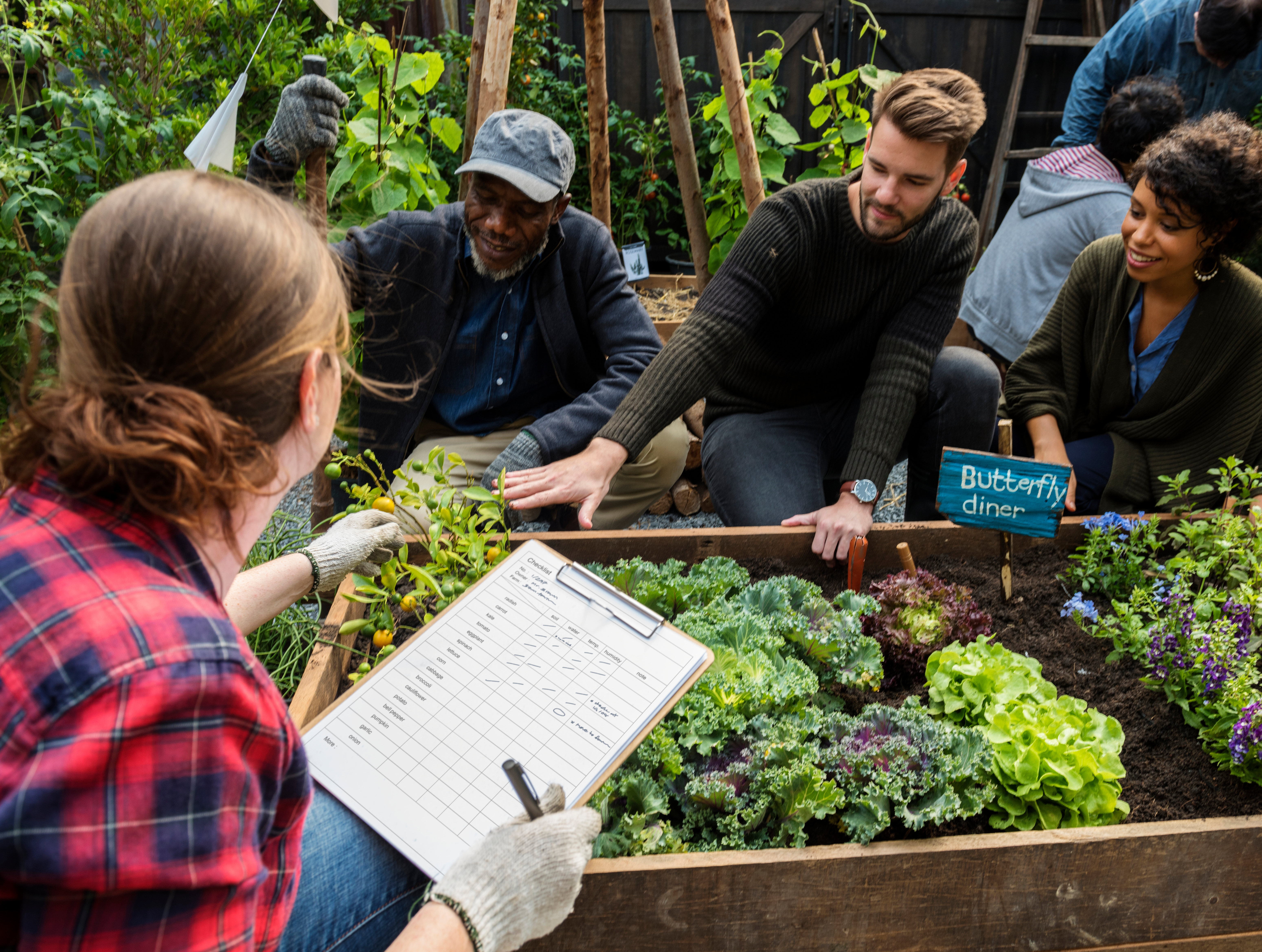 CLD Community Garden