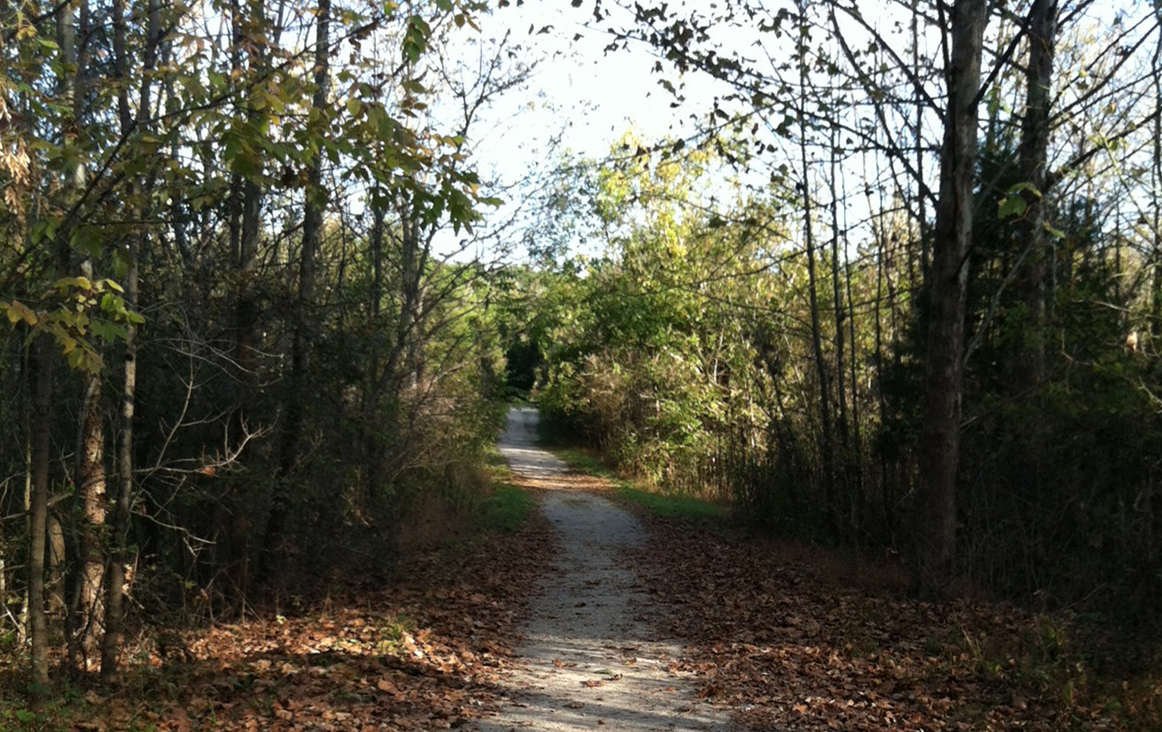 Park Trail photo