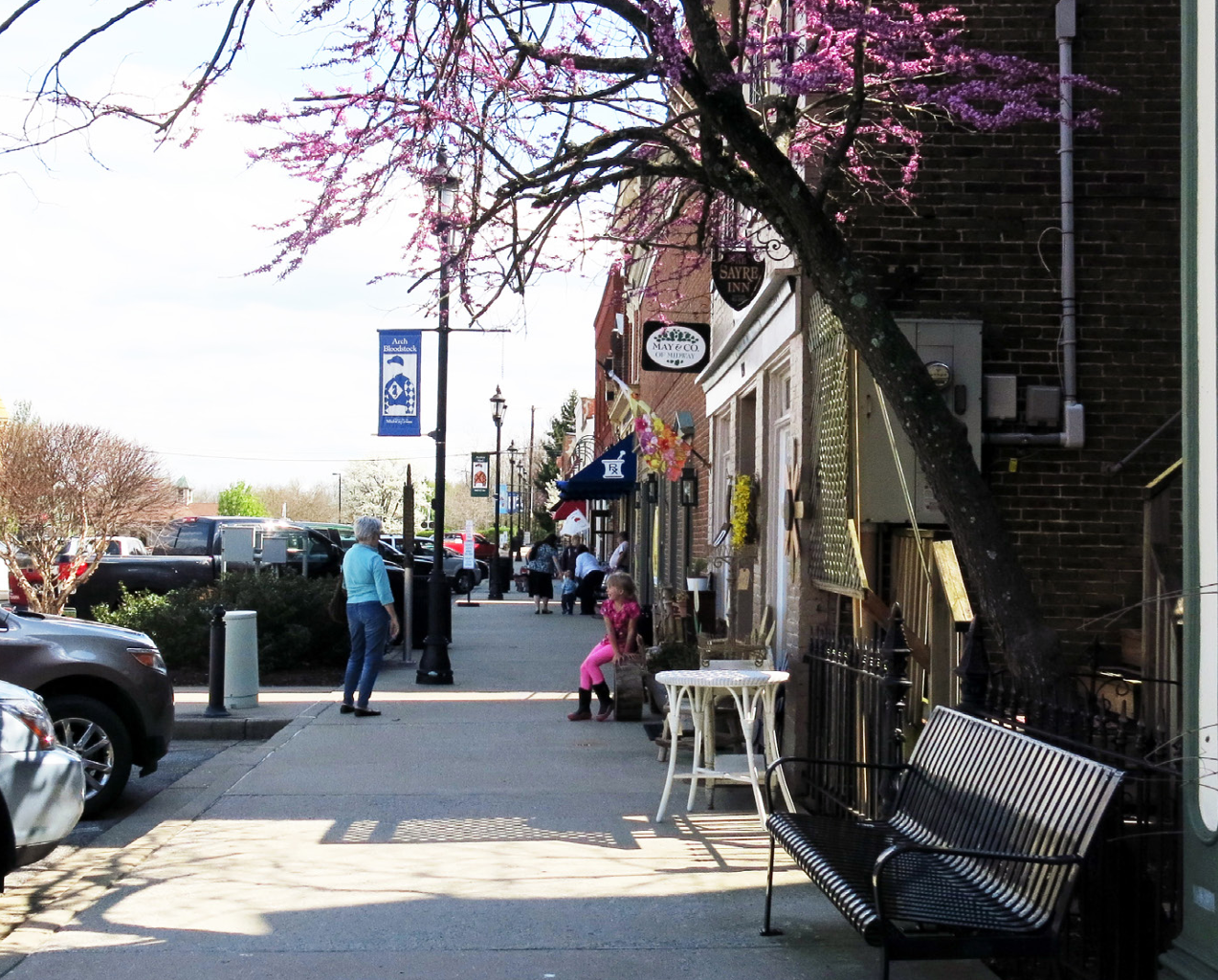 streetscape with dogwood